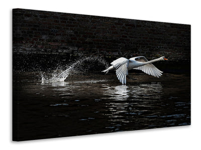 3-piece-canvas-print-flying-swan