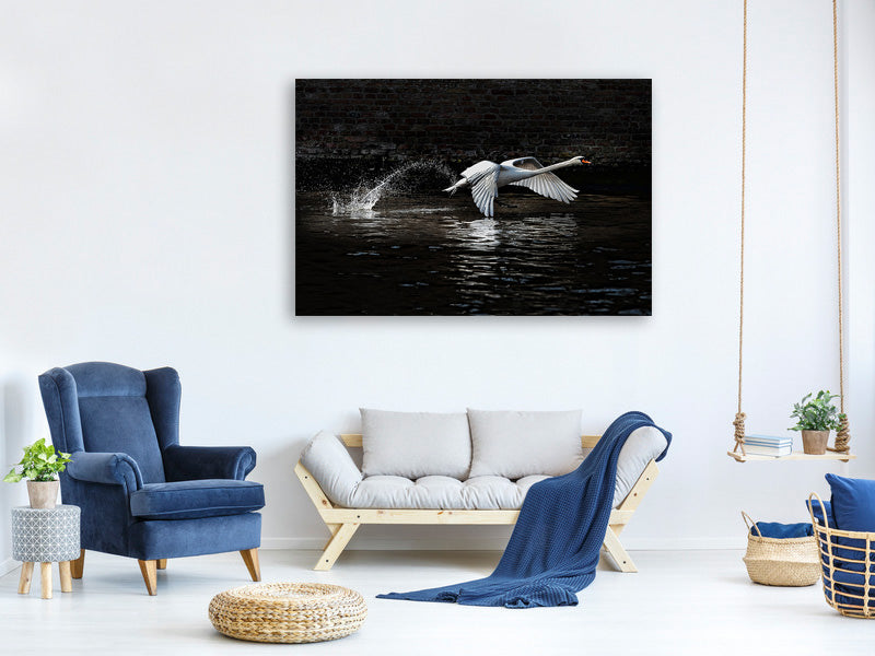 modern-4-piece-canvas-print-flying-swan