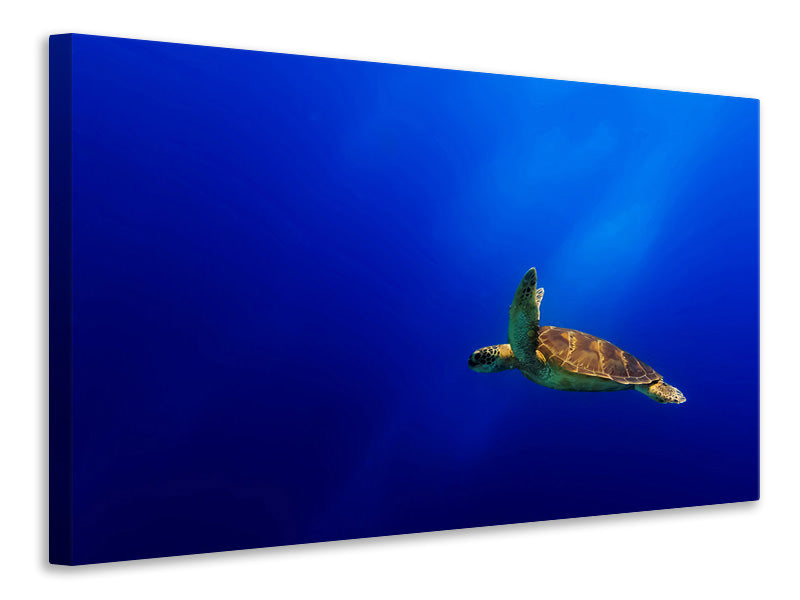 3-piece-canvas-print-flying