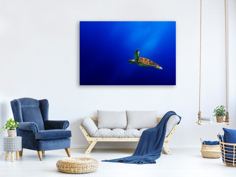 3-piece-canvas-print-flying