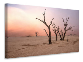 modern-3-piece-canvas-print-fog-in-deadvlei