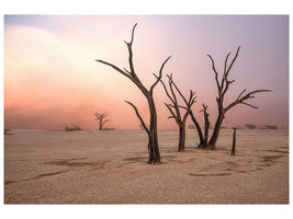 modern-3-piece-canvas-print-fog-in-deadvlei