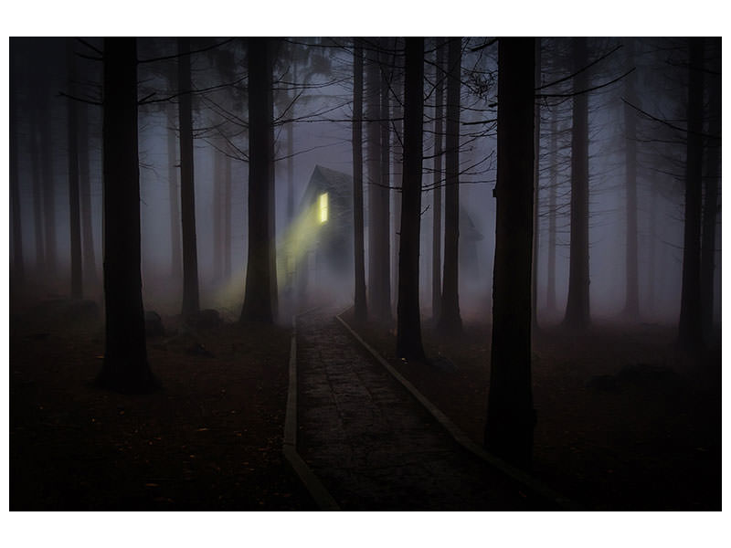modern-4-piece-canvas-print-fog-in-the-forest