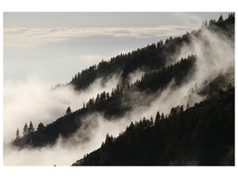 modern-4-piece-canvas-print-fog-in-the-woods