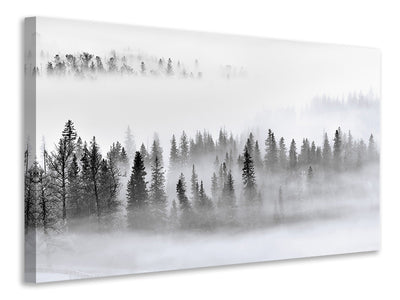 panoramic-3-piece-canvas-print-foggy-forest