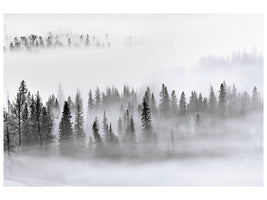 panoramic-3-piece-canvas-print-foggy-forest