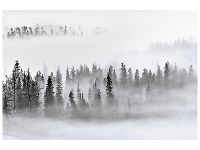 3-piece-canvas-print-foggy-forest