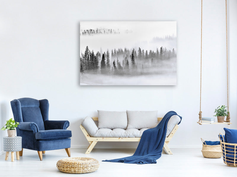 panoramic-canvas-print-foggy-forest