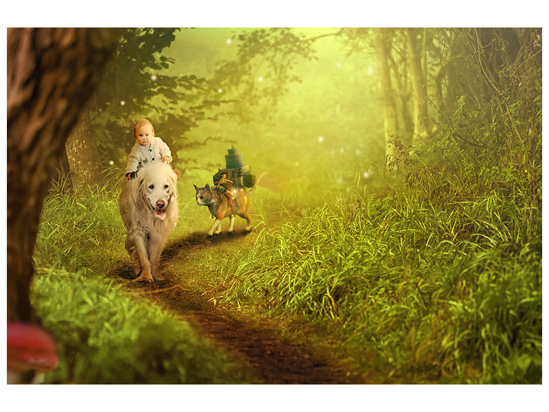 panoramic-3-piece-canvas-print-forest-excursion