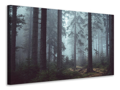 3-piece-canvas-print-forest-in-the-fog