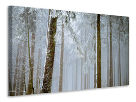 3-piece-canvas-print-forest-in-winter