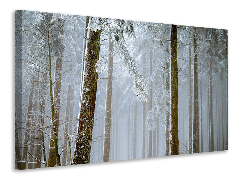 5-piece-canvas-print-forest-in-winter