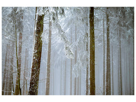 modern-3-piece-canvas-print-forest-in-winter