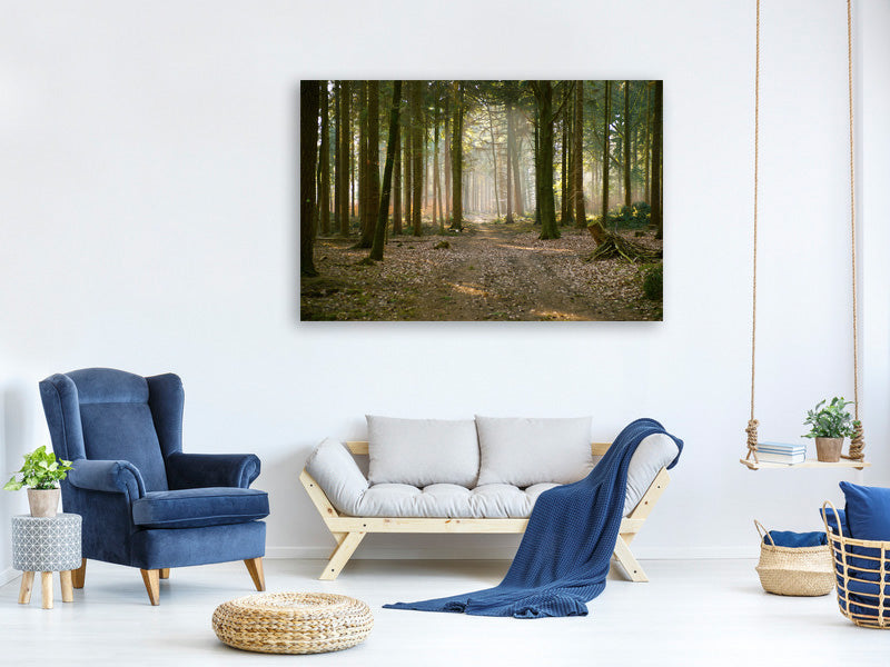 3-piece-canvas-print-forest-run