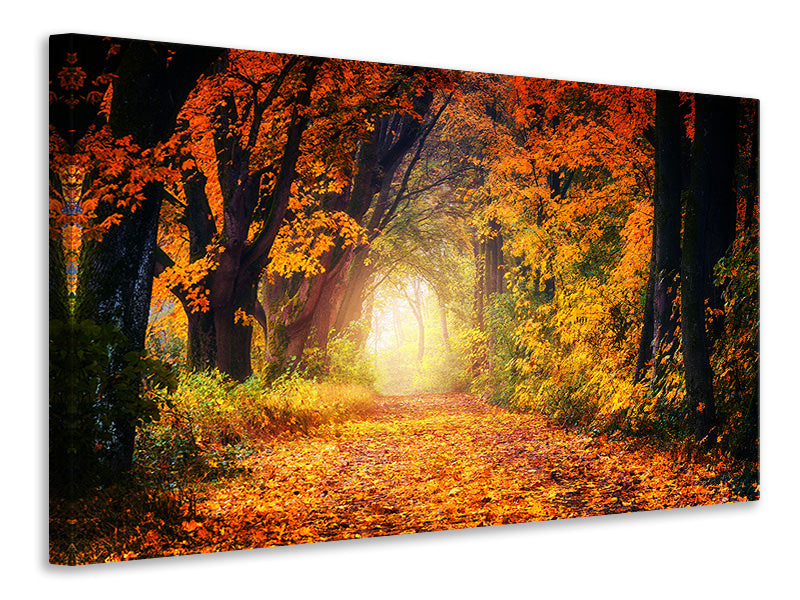 modern-3-piece-canvas-print-forest-walk