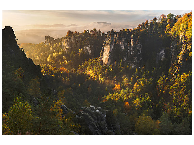 5-piece-canvas-print-forest-whispers