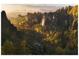 3-piece-canvas-print-forest-whispers