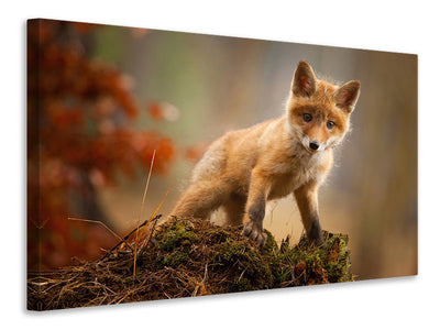 3-piece-canvas-print-fox