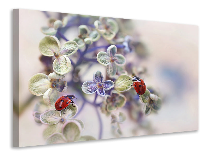 3-piece-canvas-print-fragile