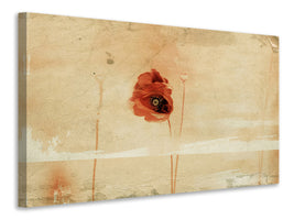 modern-3-piece-canvas-print-fragment