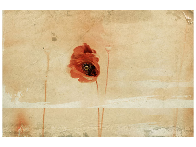 modern-3-piece-canvas-print-fragment