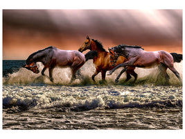 3-piece-canvas-print-freedom-for-horses