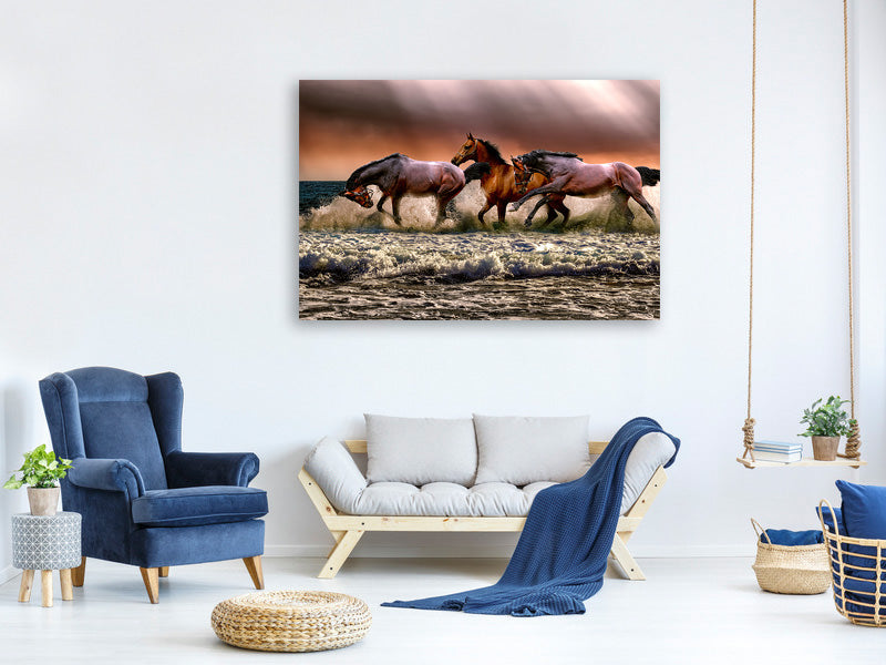 3-piece-canvas-print-freedom-for-horses