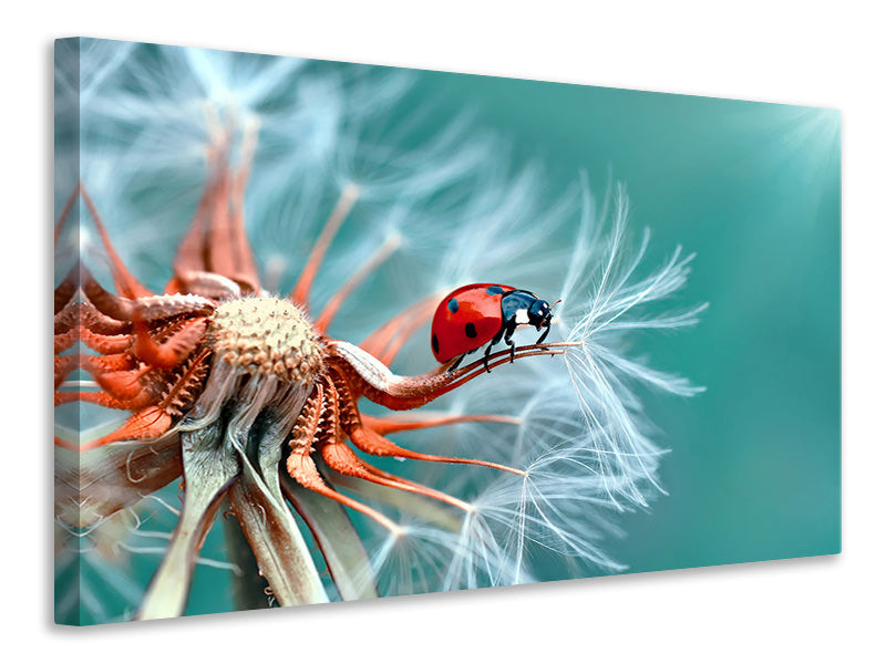 4-piece-canvas-print-freedoom