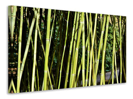 panoramic-3-piece-canvas-print-fresh-bamboo