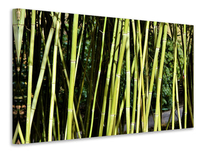 panoramic-3-piece-canvas-print-fresh-bamboo