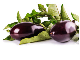 panoramic-3-piece-canvas-print-fresh-eggplants