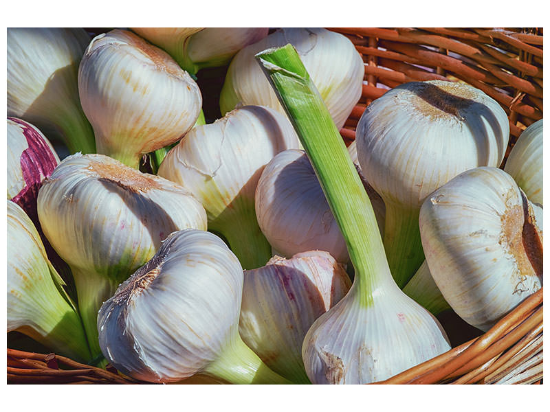 3-piece-canvas-print-fresh-garlic