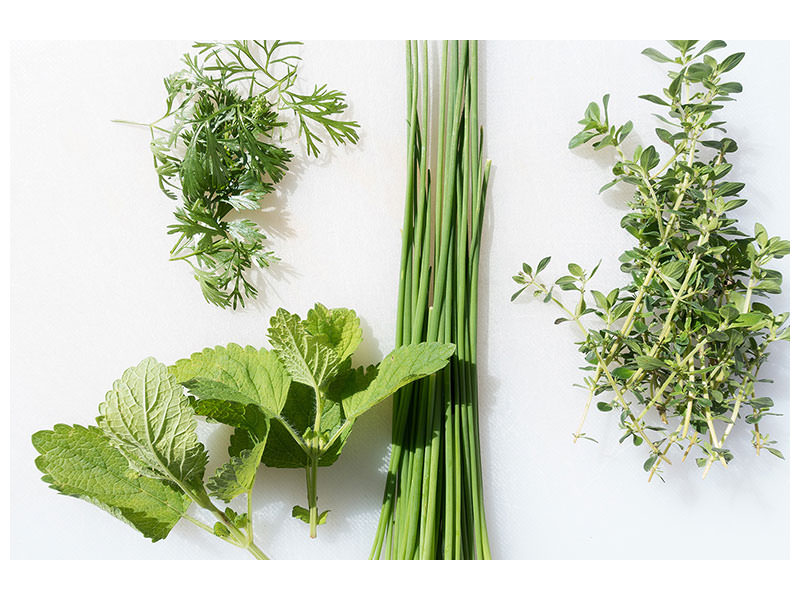 modern-3-piece-canvas-print-fresh-herbs