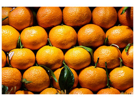 3-piece-canvas-print-fresh-oranges