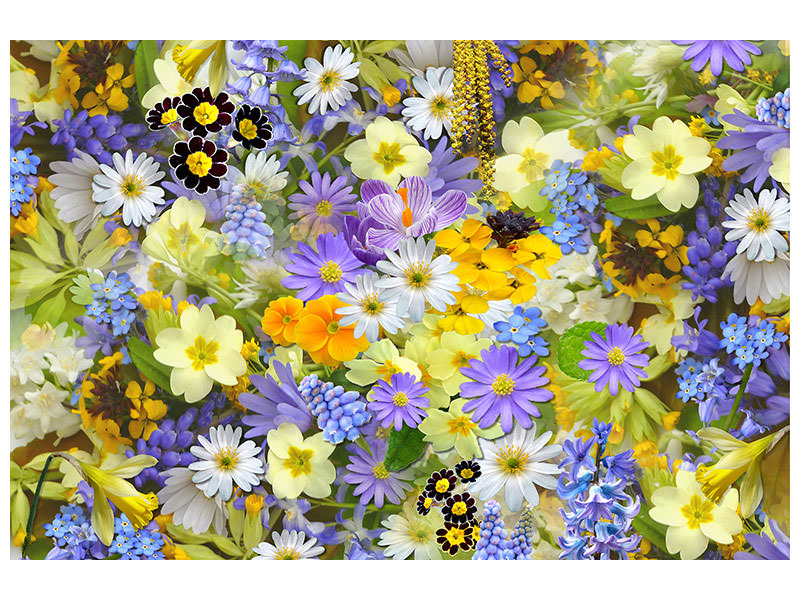 panoramic-canvas-print-fresh-spring-flowers