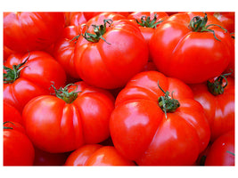 3-piece-canvas-print-fresh-tomatoes