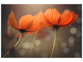 5-piece-canvas-print-friends