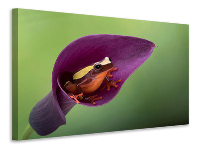 modern-3-piece-canvas-print-frog-cubby-house