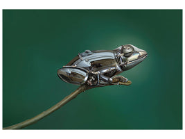 modern-4-piece-canvas-print-frog