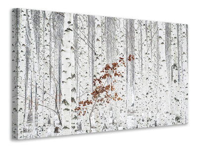 3-piece-canvas-print-from-white