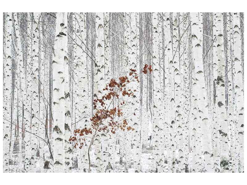 4-piece-canvas-print-from-white