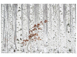 modern-3-piece-canvas-print-from-white