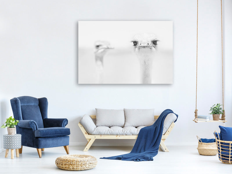 4-piece-canvas-print-funny-ostrich