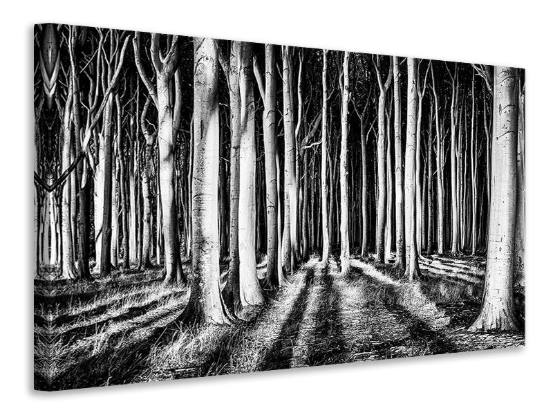 3-piece-canvas-print-ghost-forest