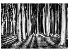 modern-4-piece-canvas-print-ghost-forest