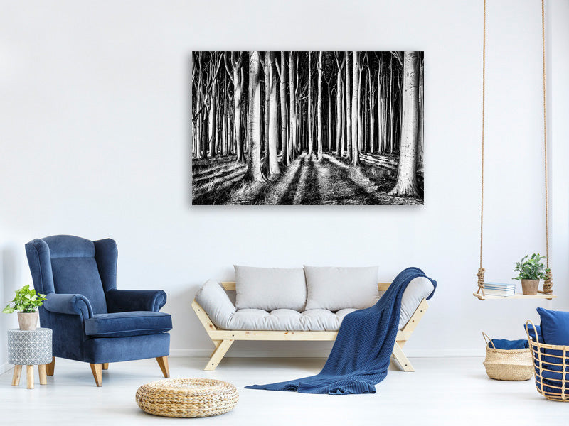 panoramic-3-piece-canvas-print-ghost-forest