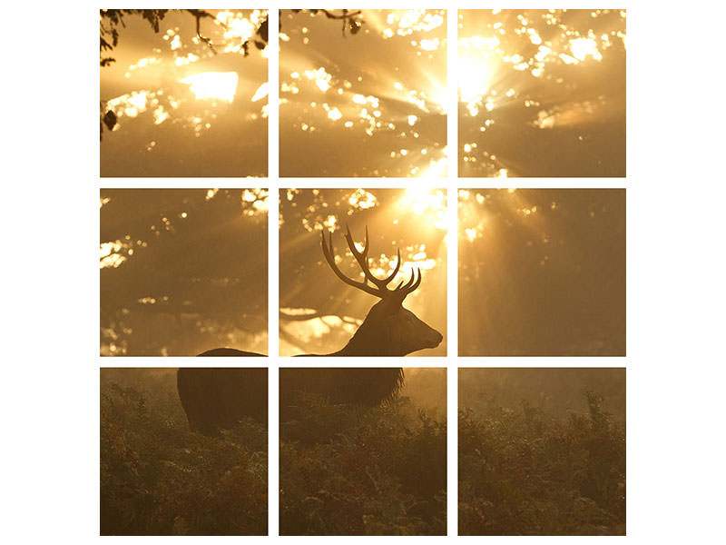 canvas-print-ghost-of-the-forest