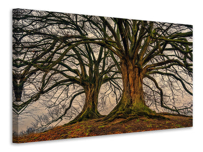 3-piece-canvas-print-ghostly-trees