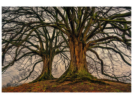 4-piece-canvas-print-ghostly-trees