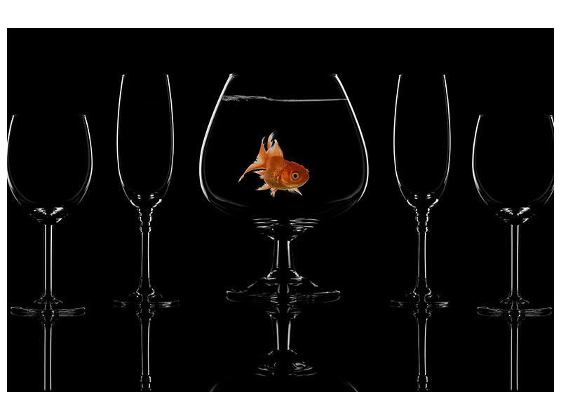 4-piece-canvas-print-glass-fish
